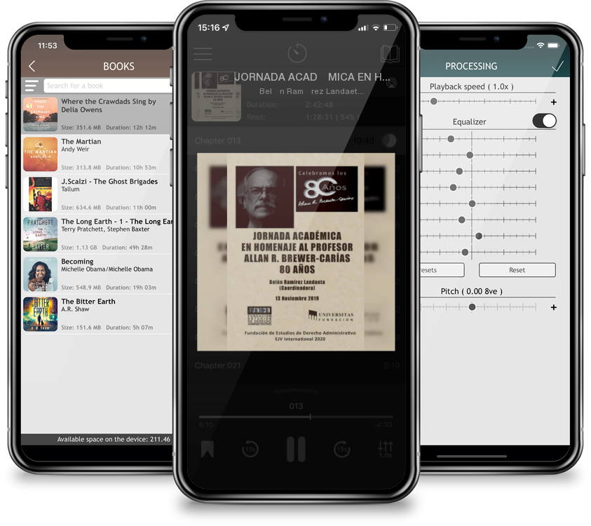 Audiobook JORNADA ACADÉMICA EN HOMENAJE AL PROFESOR ALLAN R. BREWER-CARÍAS 80 años by Belén Ramírez Landaeta