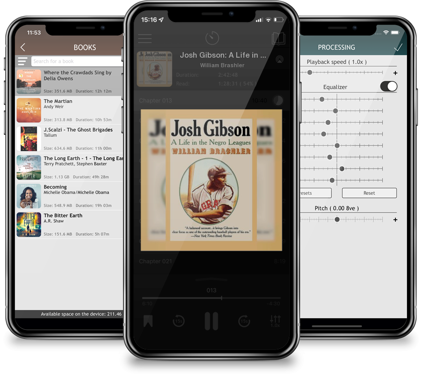 Audiobook Josh Gibson: A Life in the Negro Leagues by William Brashler