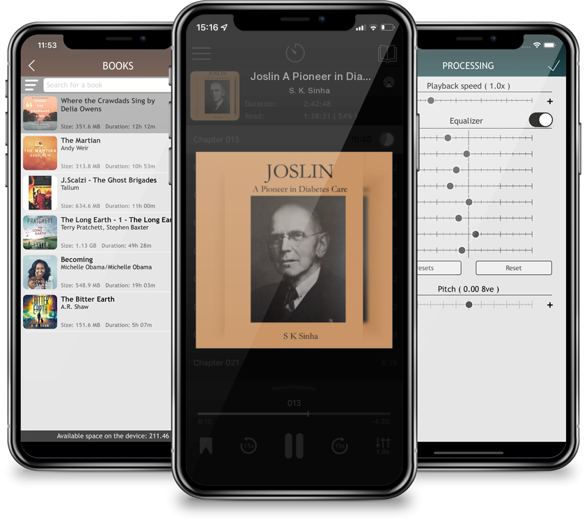 Audiobook Joslin A Pioneer in Diabetes Care by S. K. Sinha