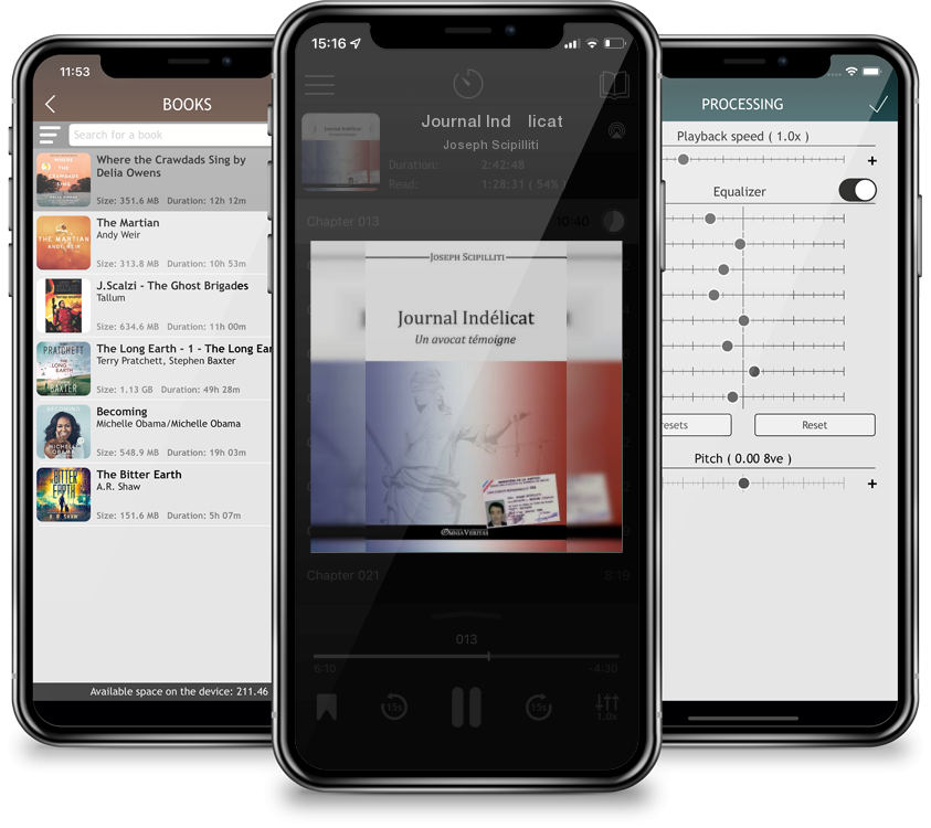 Audiobook Journal Indélicat by Joseph Scipilliti