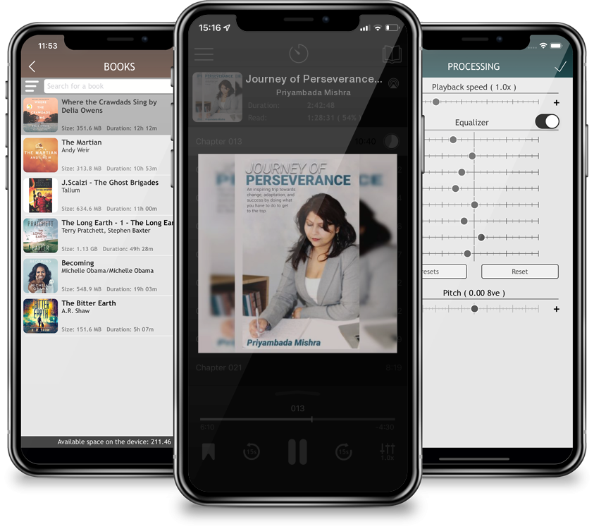 Audiobook Journey of Perseverance: An entrepreneurial journey of perseverance towards the future. by Priyambada Mishra