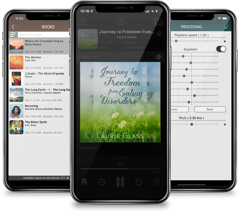 Audiobook Journey to Freedom from Eating Disorders by Laurie Glass