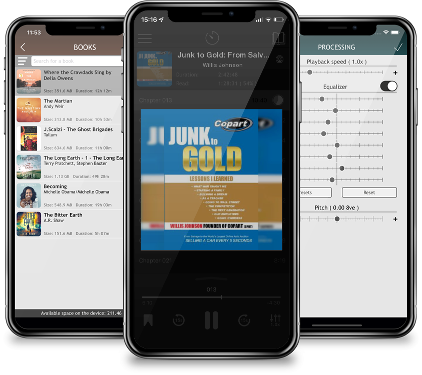 Audiobook Junk to Gold: From Salvage to the World\'s Largest Online Auto Auction by Willis Johnson