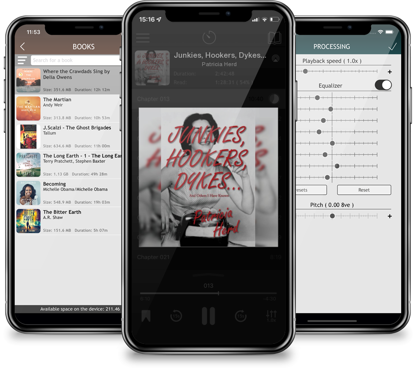 Audiobook Junkies, Hookers, Dykes...And Others I Have Known by Patricia Herd