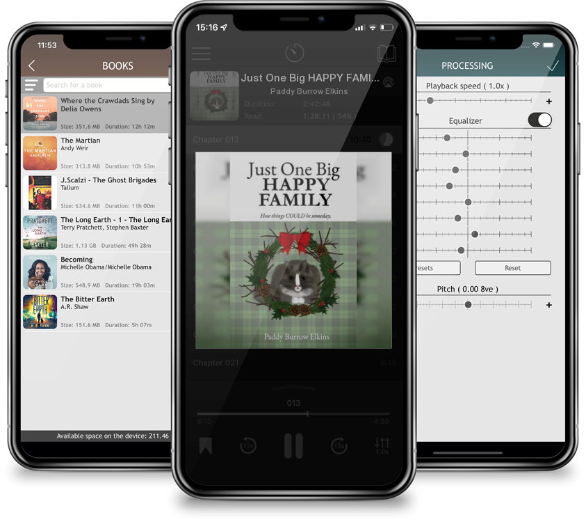 Audiobook Just One Big HAPPY FAMILY: How things COULD be someday. by Paddy Burrow Elkins