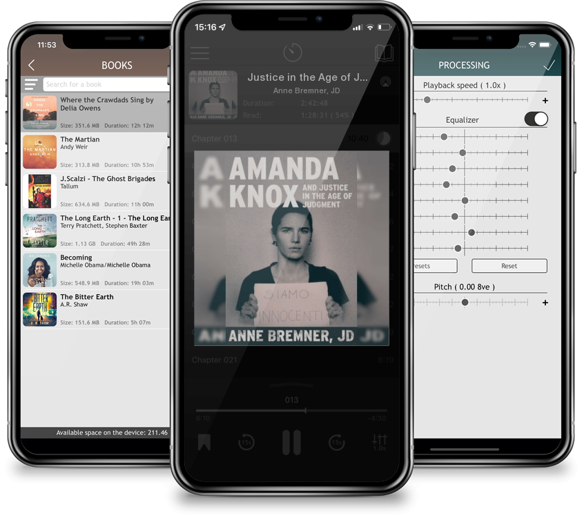Audiobook Justice in the Age of Judgment: From Amanda Knox to Kyle Rittenhouse and the Battle for Due Process in the Digital Age by Anne Bremner, JD