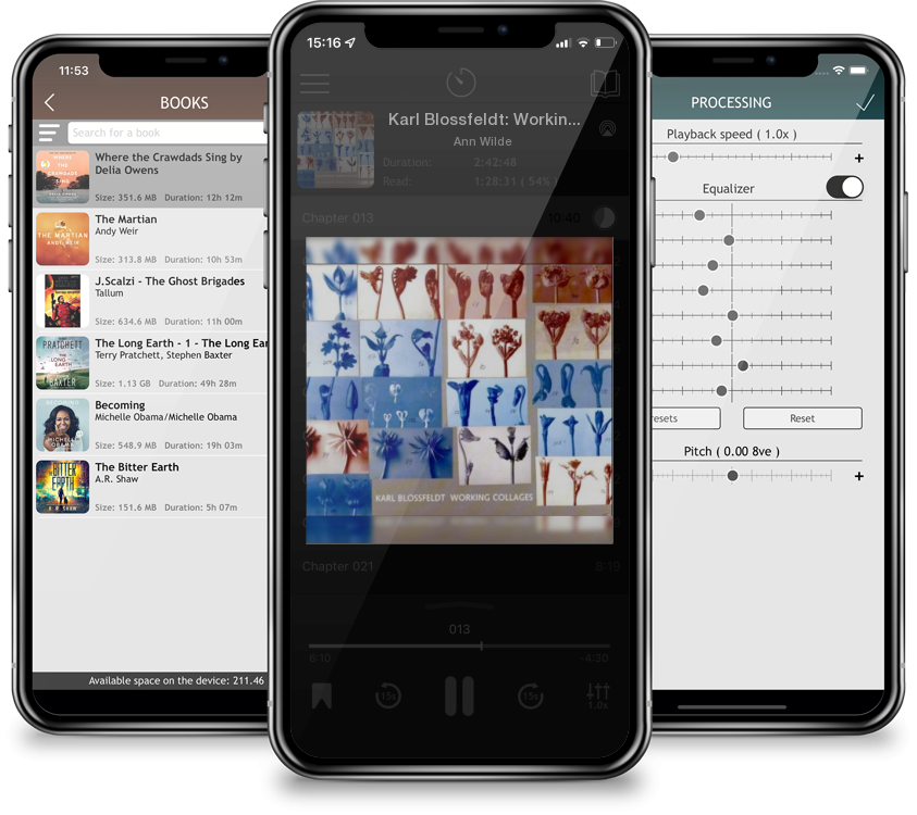 Audiobook Karl Blossfeldt: Working Collages by Ann Wilde