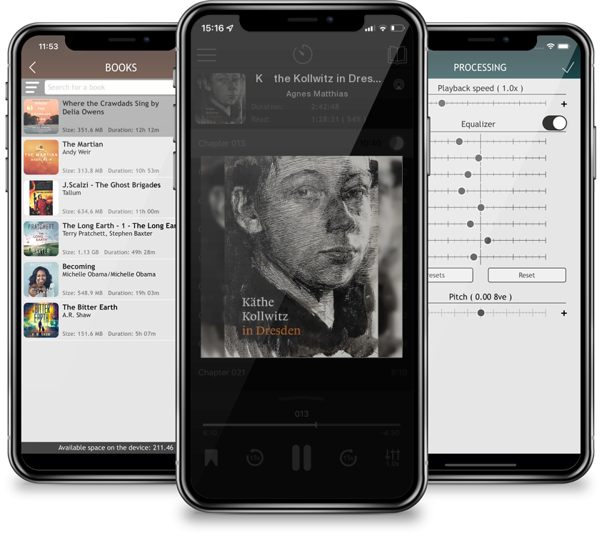 Audiobook Käthe Kollwitz in Dresden by Agnes Matthias