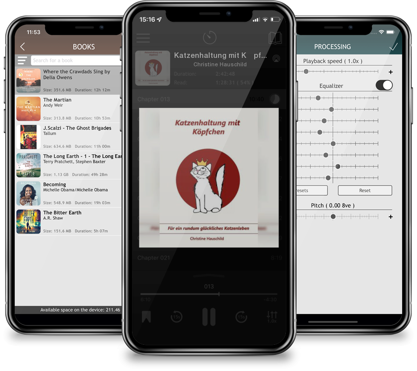 Audiobook Katzenhaltung mit Köpfchen: Für ein rundum glückliches Katzenleben by Christine Hauschild