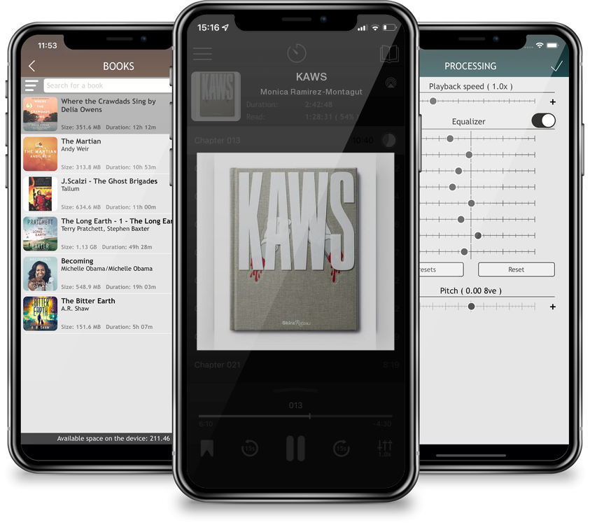 Listen KAWS by Monica Ramirez-Montagut in MP3 Audiobook Player for free