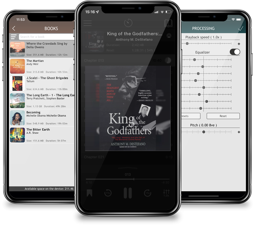 Audiobook King of the Godfathers: Big Joey Massino and the Fall of the Bonanno Crime Family by Anthony M. DeStefano