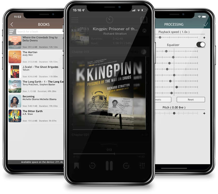 Audiobook Kingpin: Prisoner of the War on Drugs (Cannabis Americanan: Remembrance of the War on Plants, Book 2) (Cannabis Americana: Remembrance of the W #2) by Richard Stratton