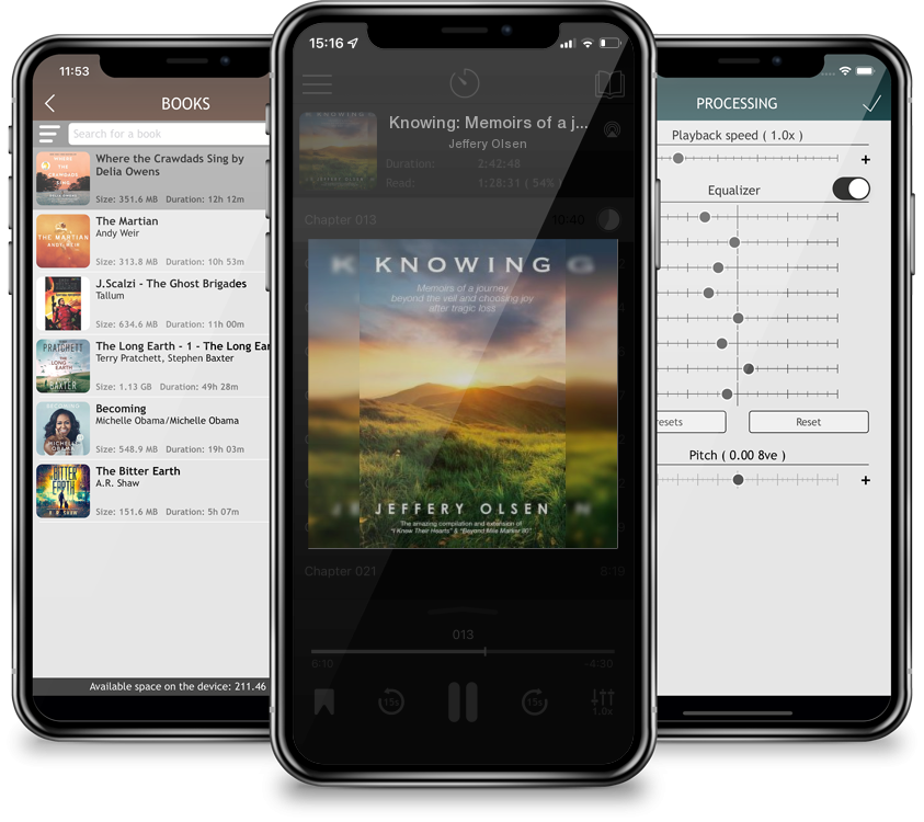 Audiobook Knowing: Memoirs of a journey beyond the veil and choosing joy after tragic loss. by Jeffery Olsen