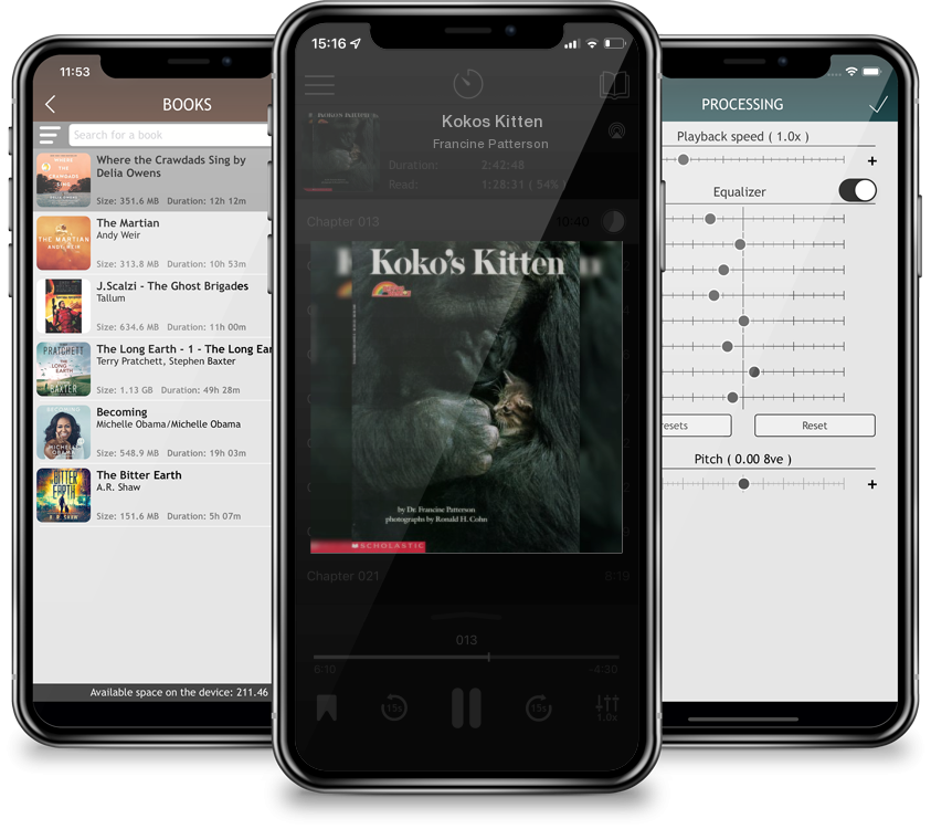 Audiobook Kokos Kitten by Francine Patterson