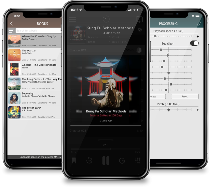 Audiobook Kung Fu Scholar Methods: Internal Strikes in 100 Days by Li Jung Yuen