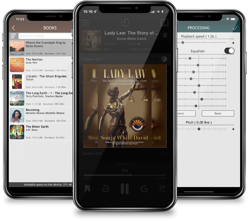 Audiobook Lady Law: The Story of Arizona Supreme Court Justice Lorna Lockwood by Sonja White David