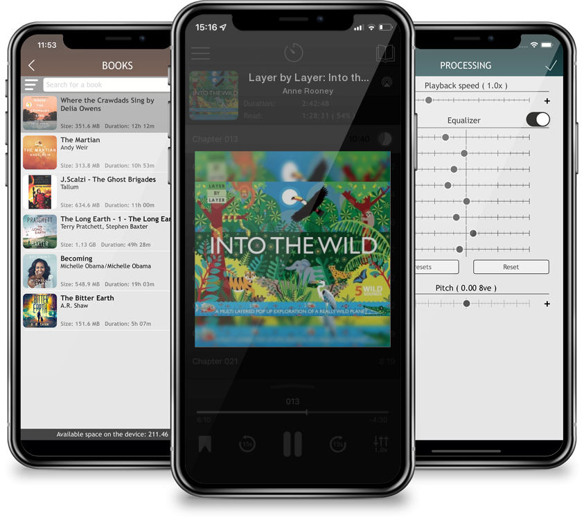 Audiobook Layer by Layer: Into the Wild by Anne Rooney