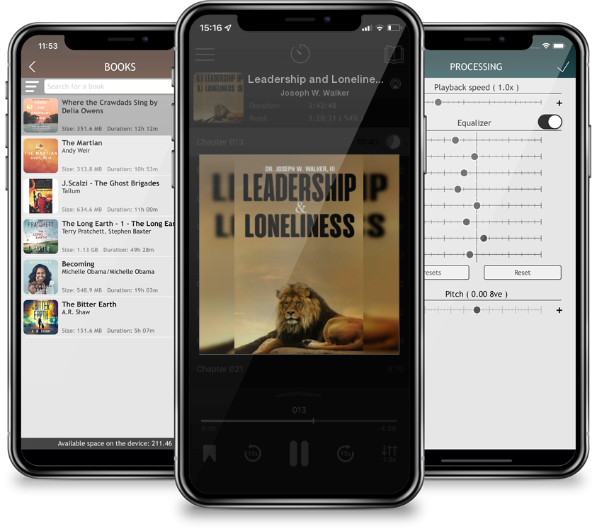 Audiobook Leadership and Loneliness by Joseph W. Walker