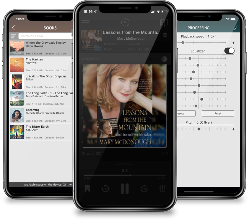 Audiobook Lessons from the Mountain: What I Learned from Erin Walton by Mary McDonough