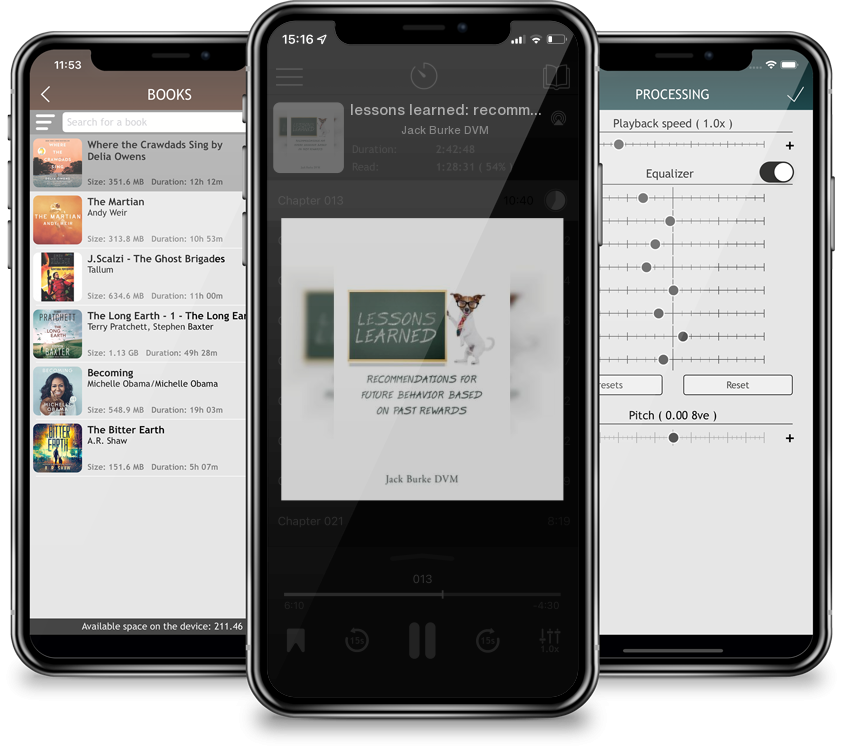 Audiobook lessons learned: recommendations for future behavior based on past rewards by Jack Burke DVM