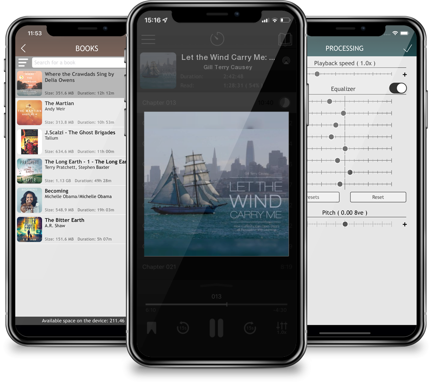 Audiobook Let the Wind Carry Me: How Curiosity Can Open Doors of Perception and Learning by Gill Terry Causey