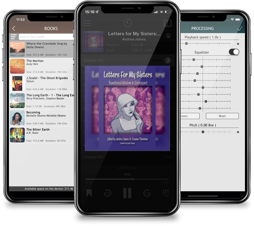 Audiobook Letters for My Sisters: Transitional Wisdom in Retrospect by Andrea James