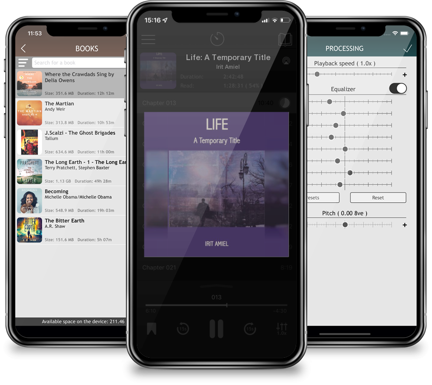 Audiobook Life: A Temporary Title by Irit Amiel