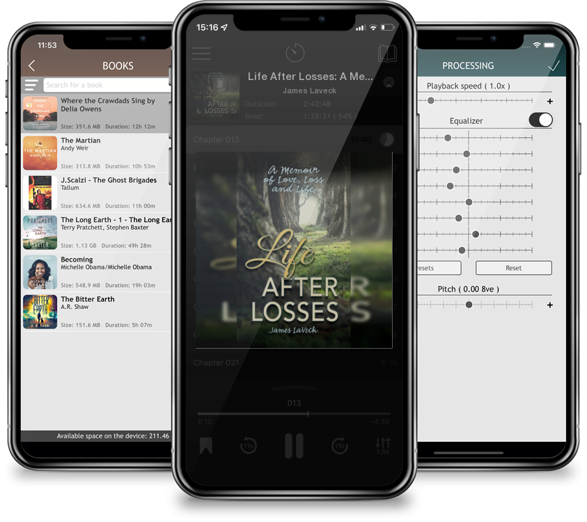 Audiobook Life After Losses: A Memoir of Love, Loss and Life by James Laveck