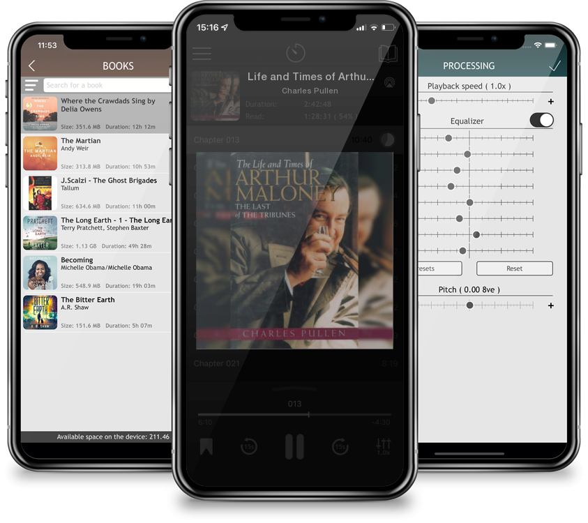 Audiobook Life and Times of Arthur Maloney by Charles Pullen