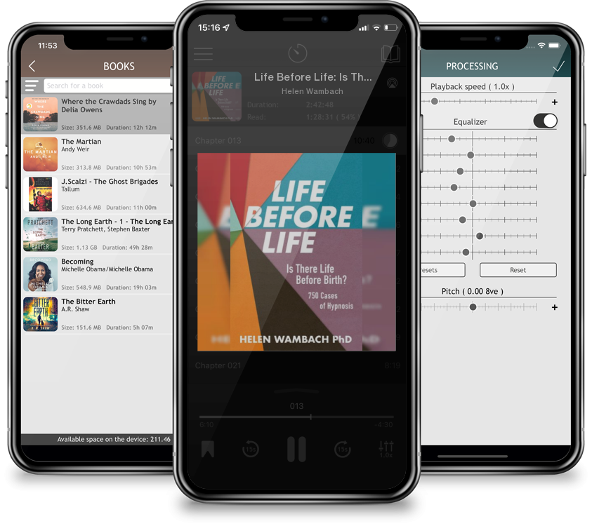 Audiobook Life Before Life: Is There Life Before Birth? 750 Cases of Hypnosis by Helen Wambach