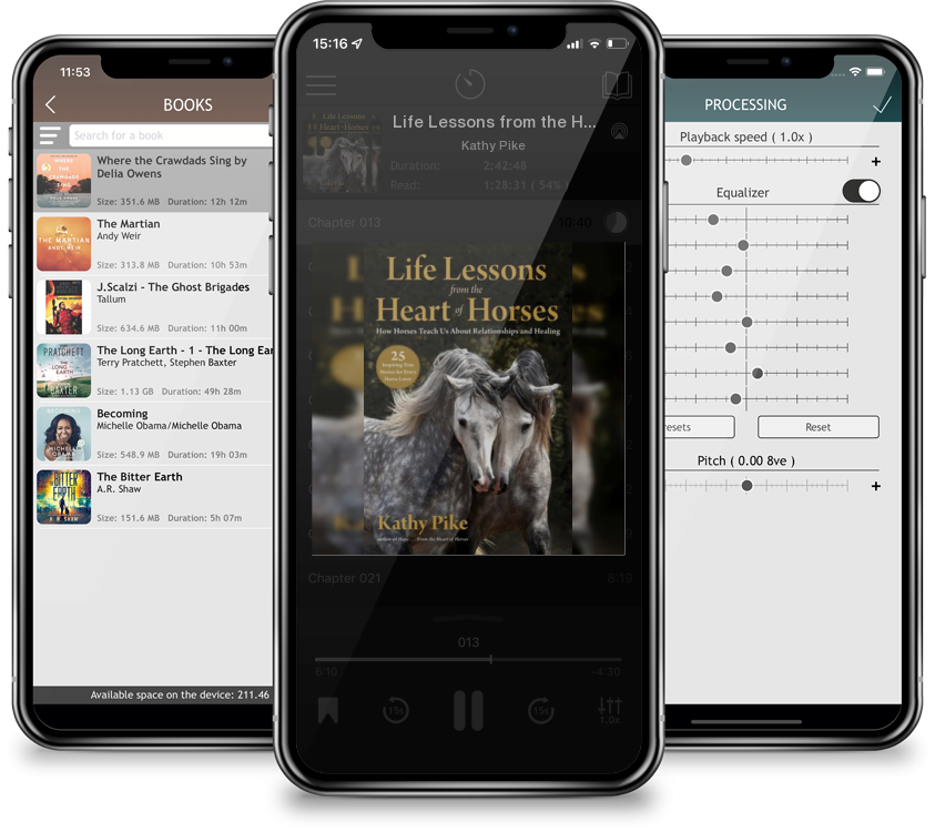 Audiobook Life Lessons from the Heart of Horses: How Horses Teach Us About Relationships and Healing by Kathy Pike