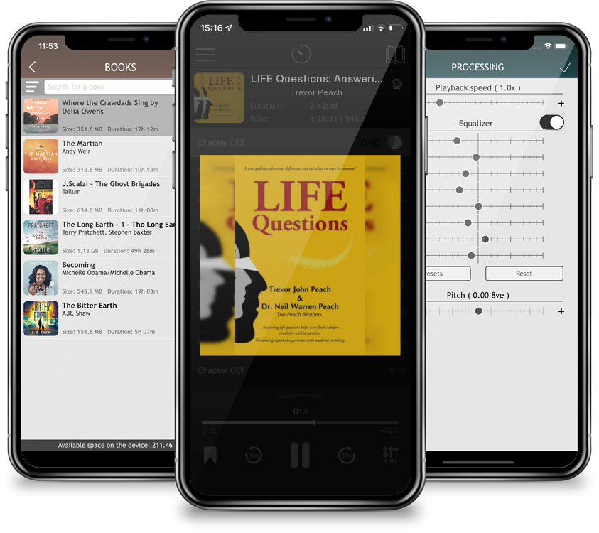 Audiobook LIFE Questions: Answering LIFE Questions helps us to find a deeper condition within ourselves. by Trevor Peach