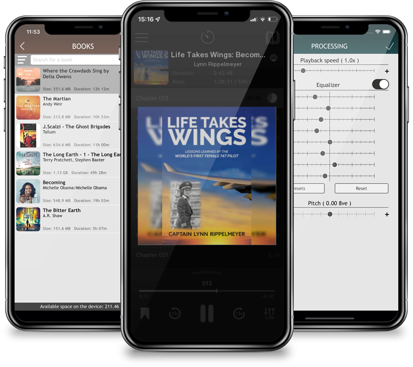 Audiobook Life Takes Wings: Becoming the World\'s First Female 747 Pilot by Lynn Rippelmeyer