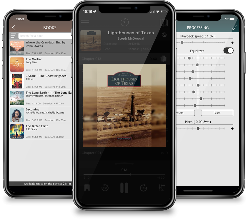 Audiobook Lighthouses of Texas by Steph McDougal