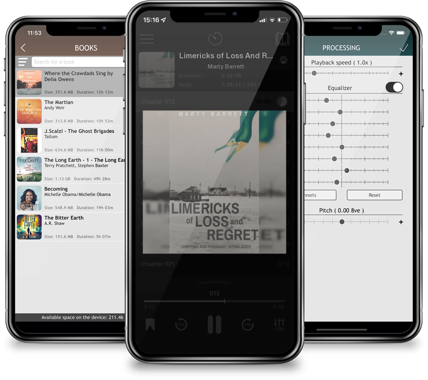 Audiobook Limericks of Loss And Regret by Marty Barrett