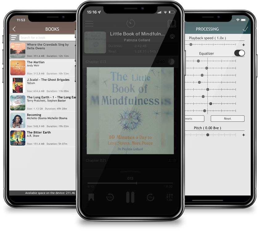 Audiobook Little Book of Mindfulness: 10 minutes a day to less stress, more peace by Patrizia Collard