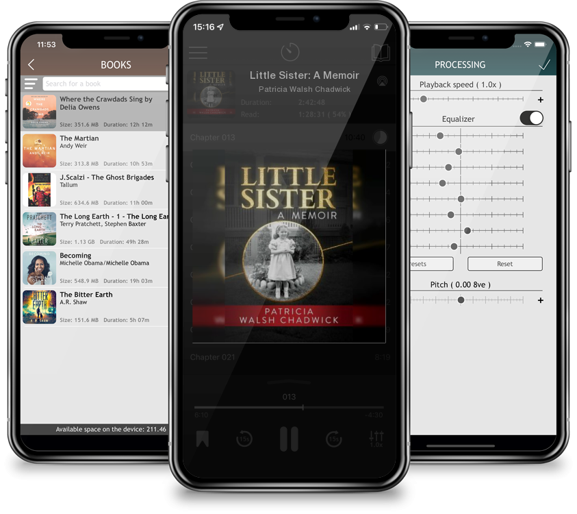 Audiobook Little Sister: A Memoir by Patricia Walsh Chadwick