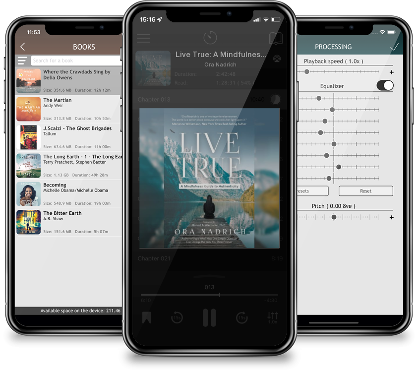 Audiobook Live True: A Mindfulness Guide to Authenticity by Ora Nadrich
