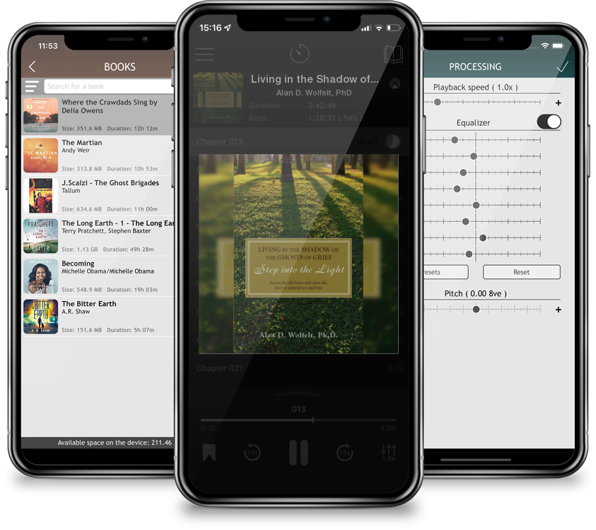 Audiobook Living in the Shadow of the Ghosts of Grief: Step into the Light by Alan D. Wolfelt, PhD