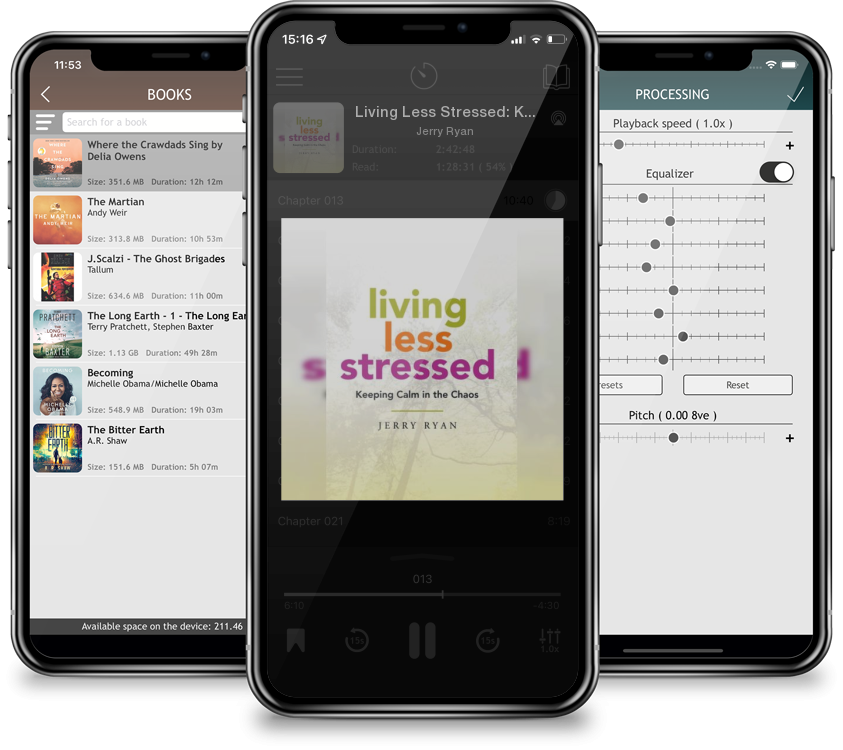 Audiobook Living Less Stressed: Keeping Calm in the Chaos by Jerry Ryan