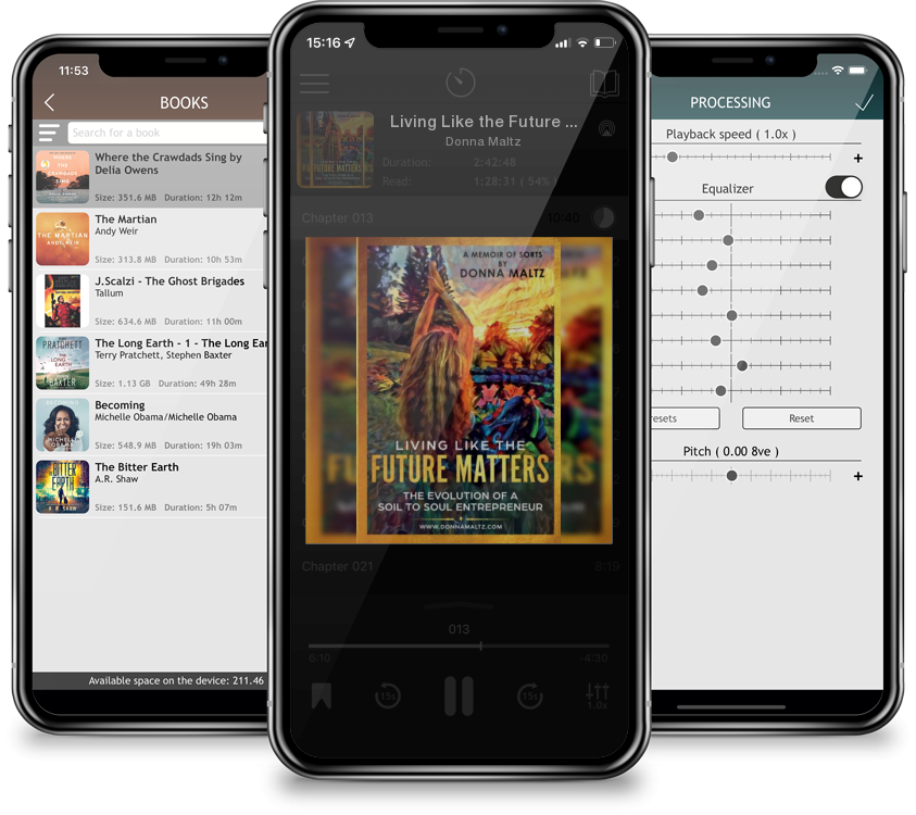 Audiobook Living Like the Future Matters by Donna Maltz