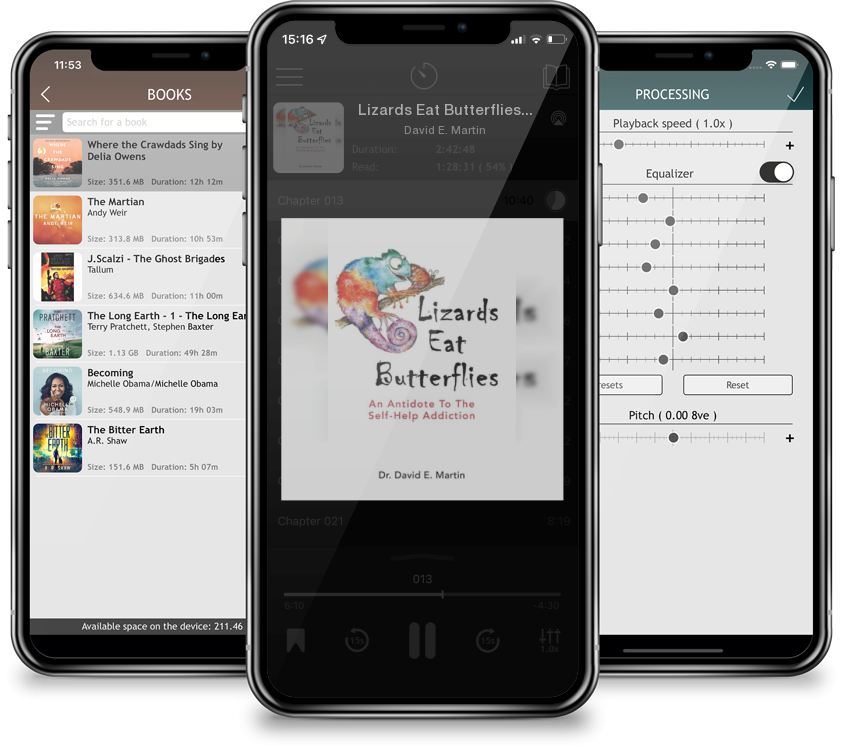 Audiobook Lizards Eat Butterflies: An Antidote to the Self-Help Addiction by David E. Martin