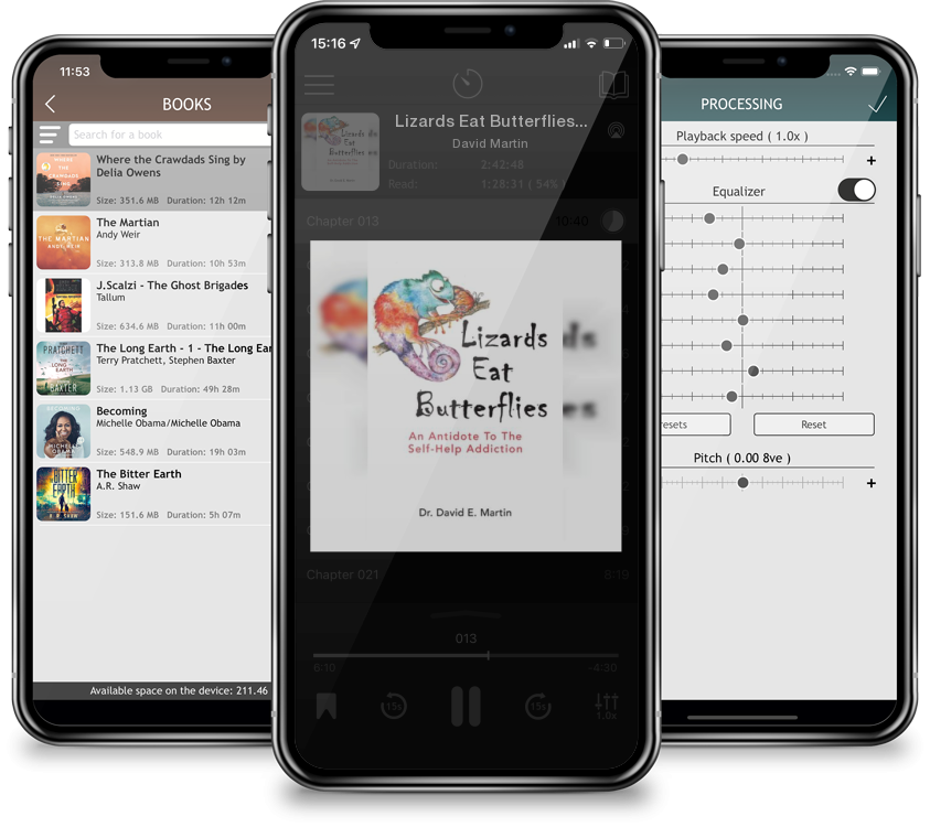 Audiobook Lizards Eat Butterflies: An Antidote to the Self-Help Addiction by David Martin