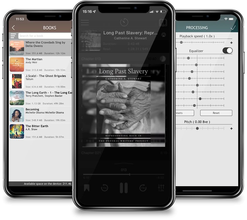 Audiobook Long Past Slavery: Representing Race in the Federal Writers\' Project by Catherine A. Stewart