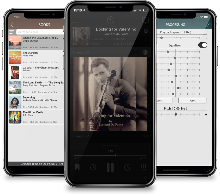 Audiobook Looking for Valentino by Leonard de Fonte