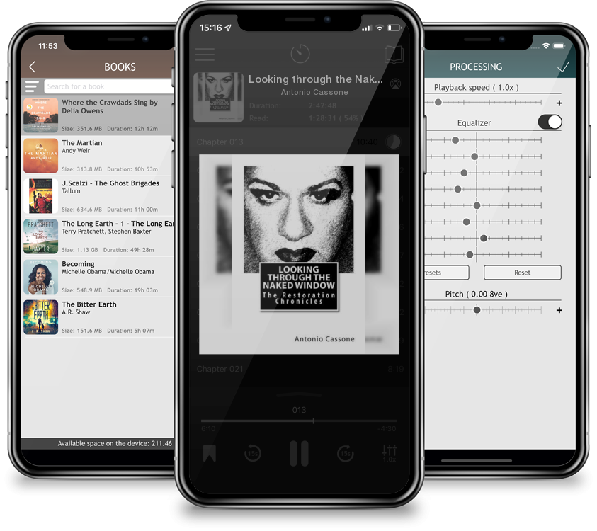 Audiobook Looking through the Naked Window: The Restoration Chronicles by Antonio Cassone