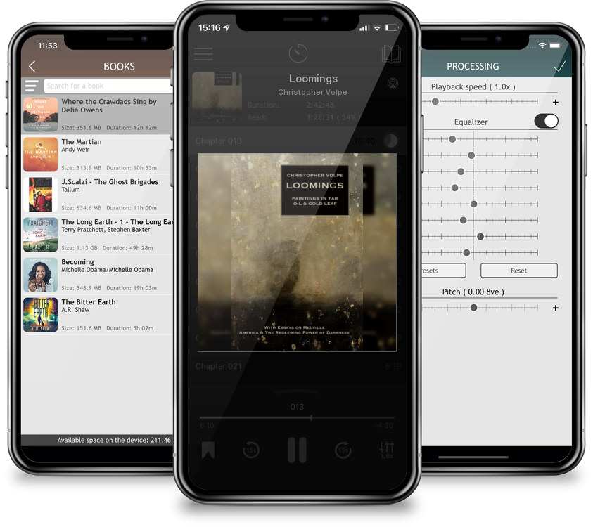 Audiobook Loomings by Christopher Volpe