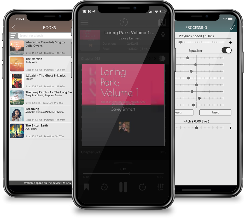 Audiobook Loring Park: Volume 1: Tales of an Emotionally Stunted, Allegedly Funny 20-Something Screw-Up by Jakey Emmert