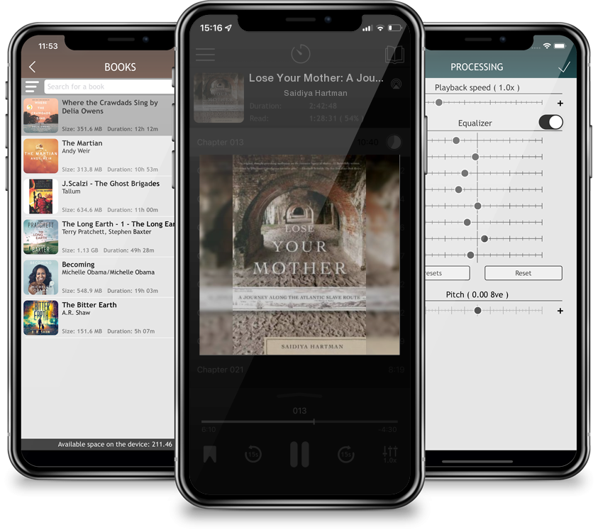 Audiobook Lose Your Mother: A Journey Along the Atlantic Slave Route by Saidiya Hartman