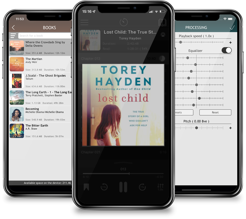 Audiobook Lost Child: The True Story of a Girl Who Couldn\'t Ask for Help (Compact Disc) by Torey Hayden
